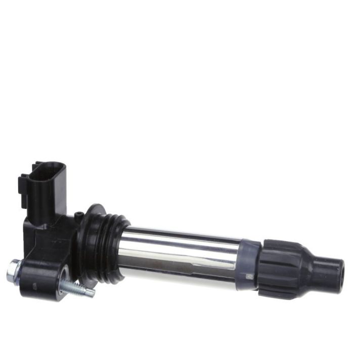 Ritė, uždegimas DELPHI GN10494-12B1