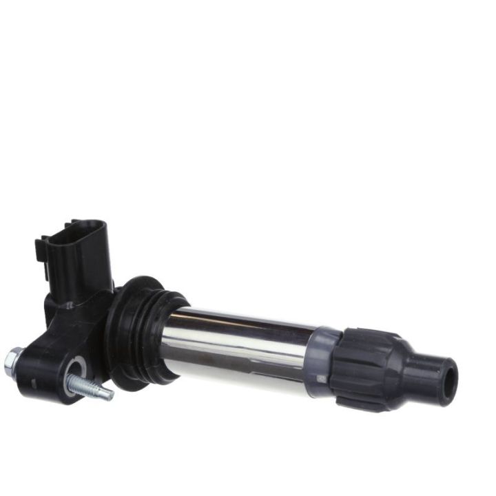 Ritė, uždegimas DELPHI GN10494-12B1