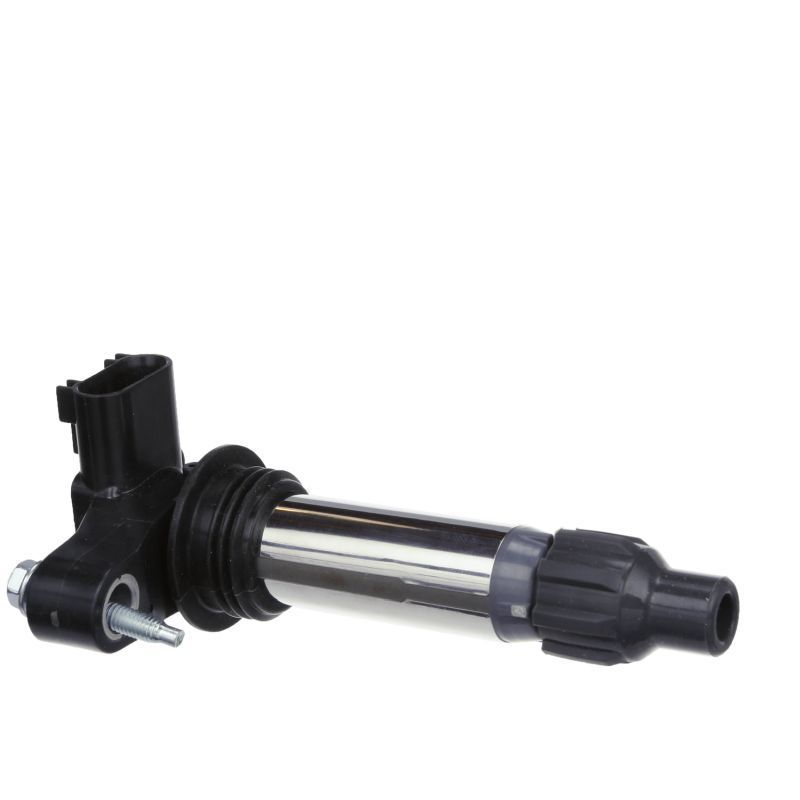 Ritė, uždegimas DELPHI GN10494-12B1