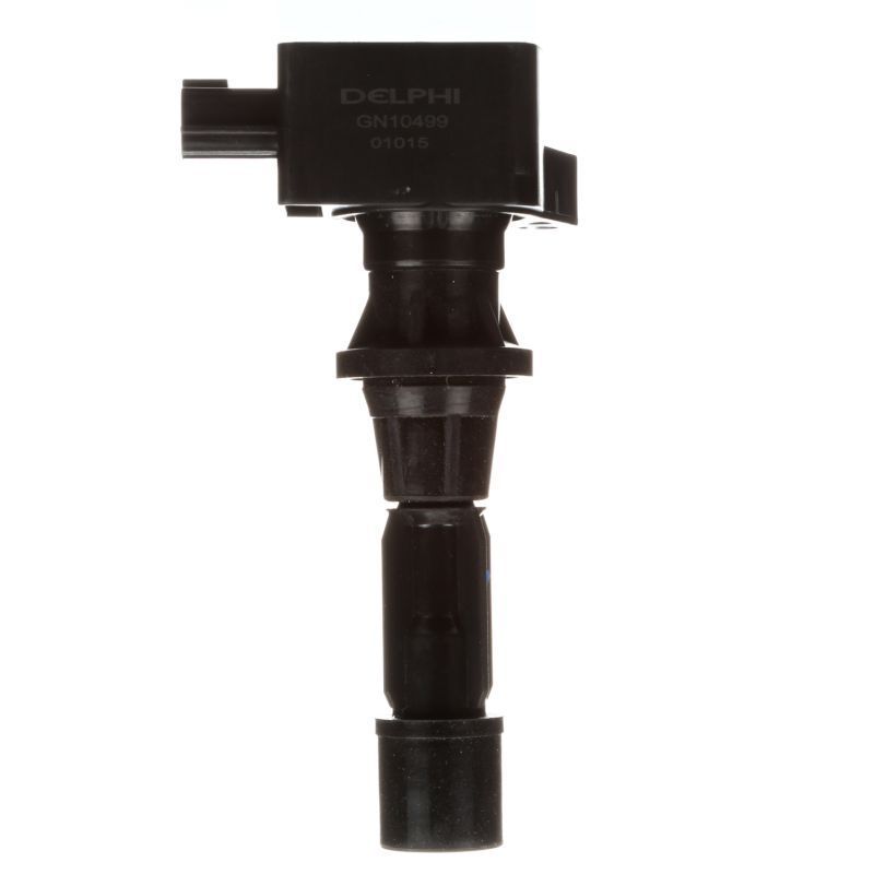 Ritė, uždegimas DELPHI GN10499-12B1