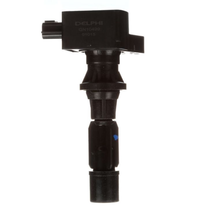 Ritė, uždegimas DELPHI GN10499-12B1