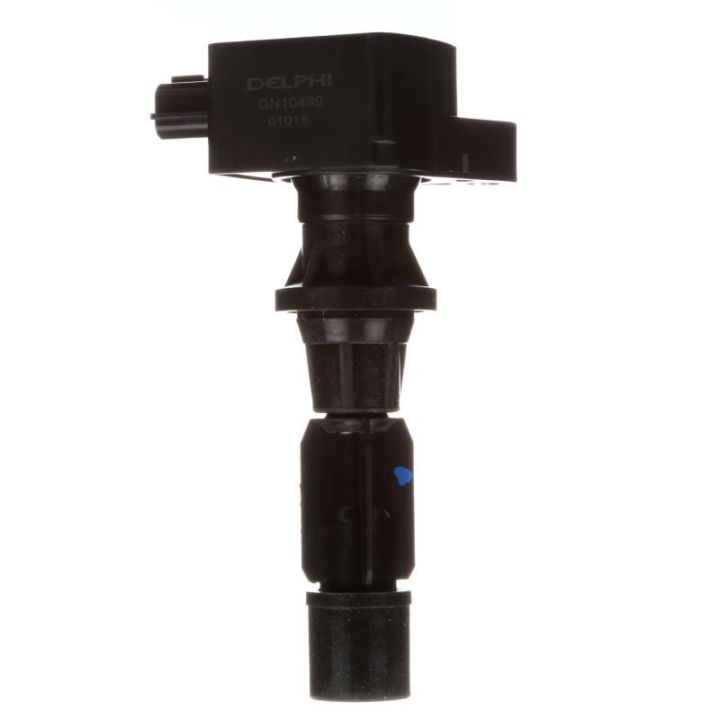 Ritė, uždegimas DELPHI GN10499-12B1