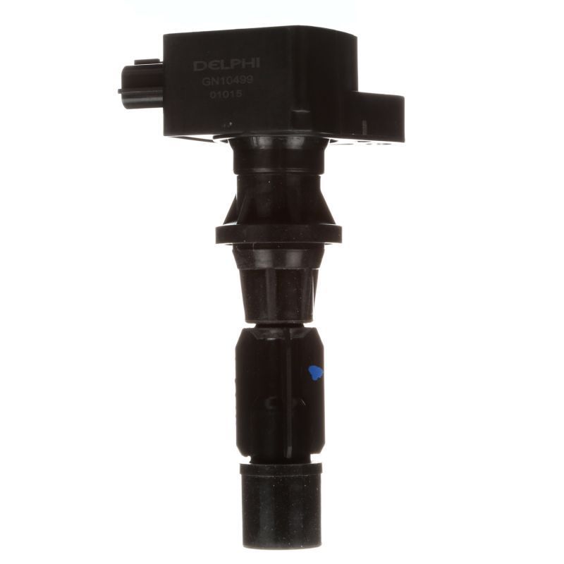 Ritė, uždegimas DELPHI GN10499-12B1