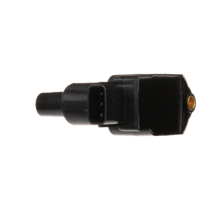 Ritė, uždegimas DELPHI GN10508-12B1