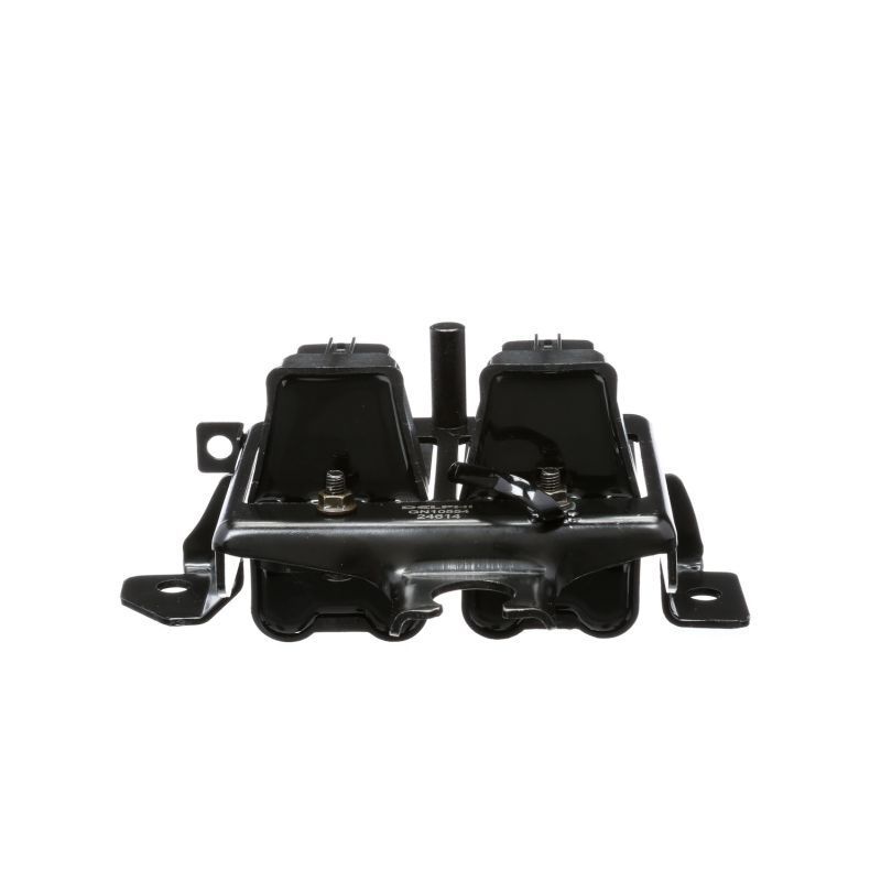 Ritė, uždegimas DELPHI GN10554-12B1