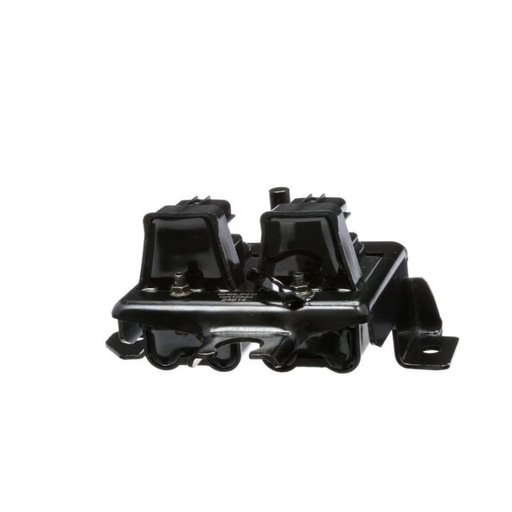 Ritė, uždegimas DELPHI GN10554-12B1