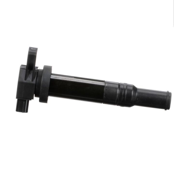 Ritė, uždegimas DELPHI GN10569-12B1