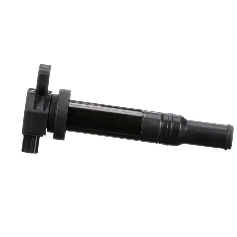 Ritė, uždegimas DELPHI GN10569-12B1