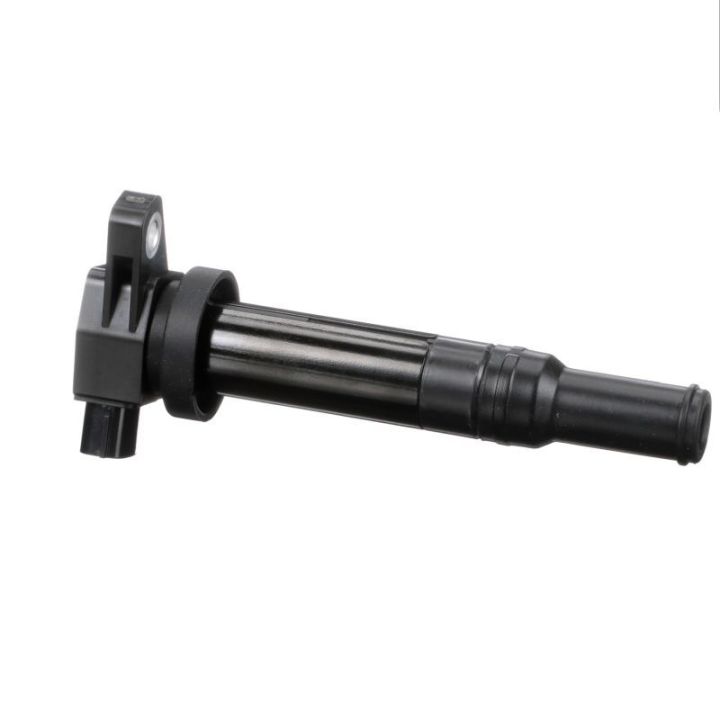 Ritė, uždegimas DELPHI GN10569-12B1