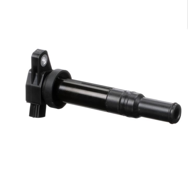 Ritė, uždegimas DELPHI GN10569-12B1