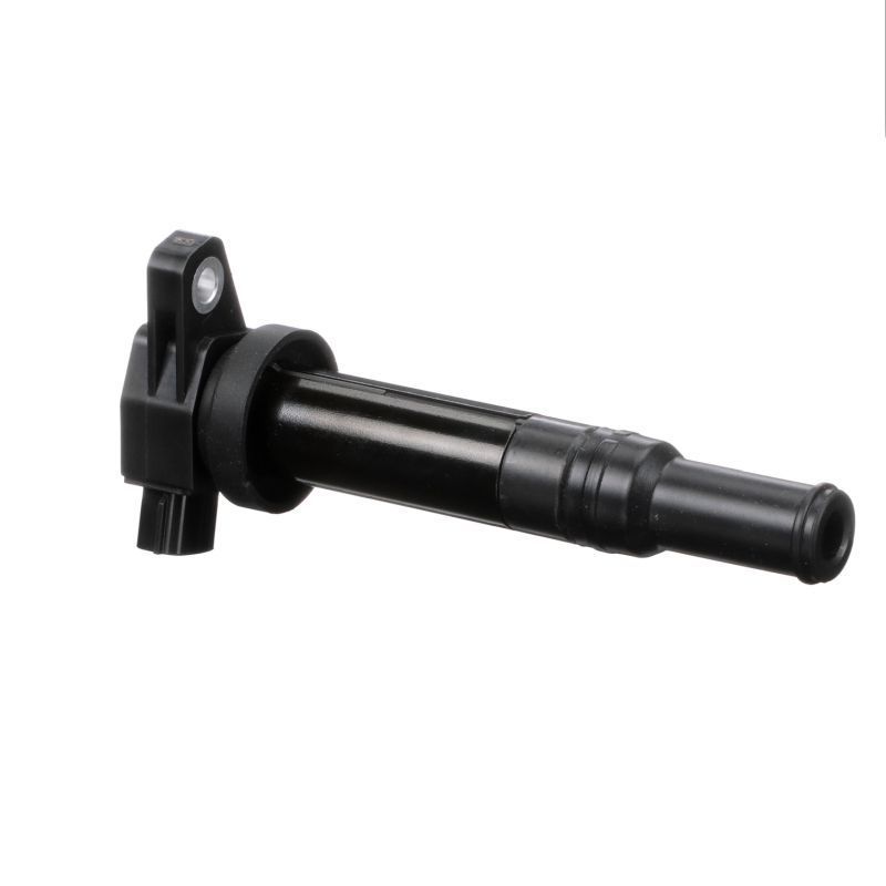 Ritė, uždegimas DELPHI GN10569-12B1