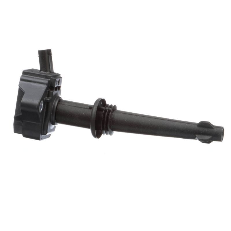 Ritė, uždegimas DELPHI GN10591-12B1