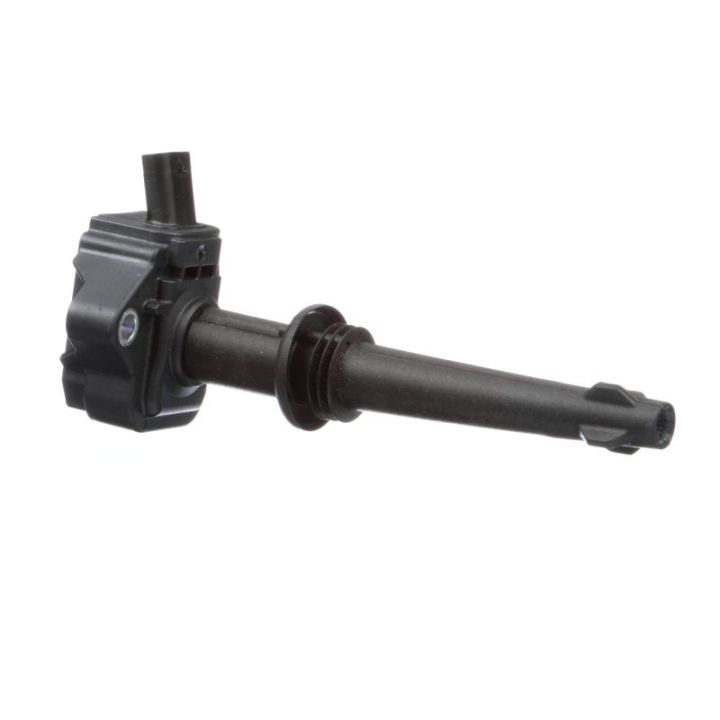 Ritė, uždegimas DELPHI GN10591-12B1