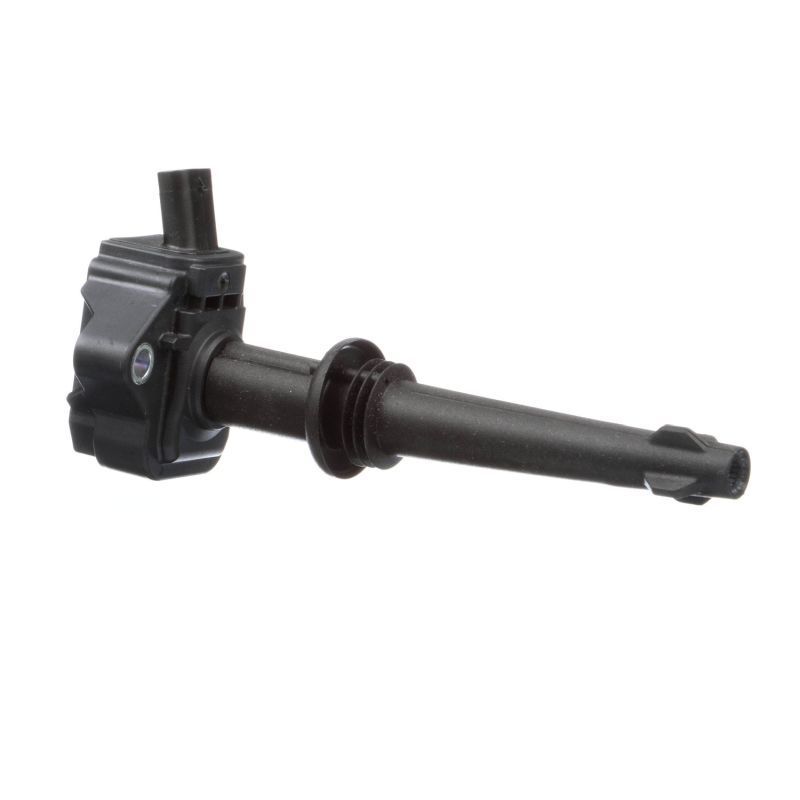 Ritė, uždegimas DELPHI GN10591-12B1