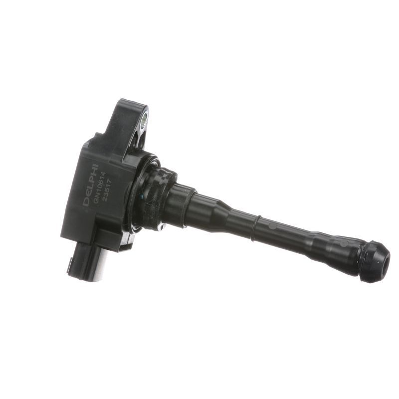 Ritė, uždegimas DELPHI GN10614-12B1