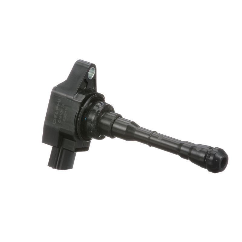 Ritė, uždegimas DELPHI GN10614-12B1