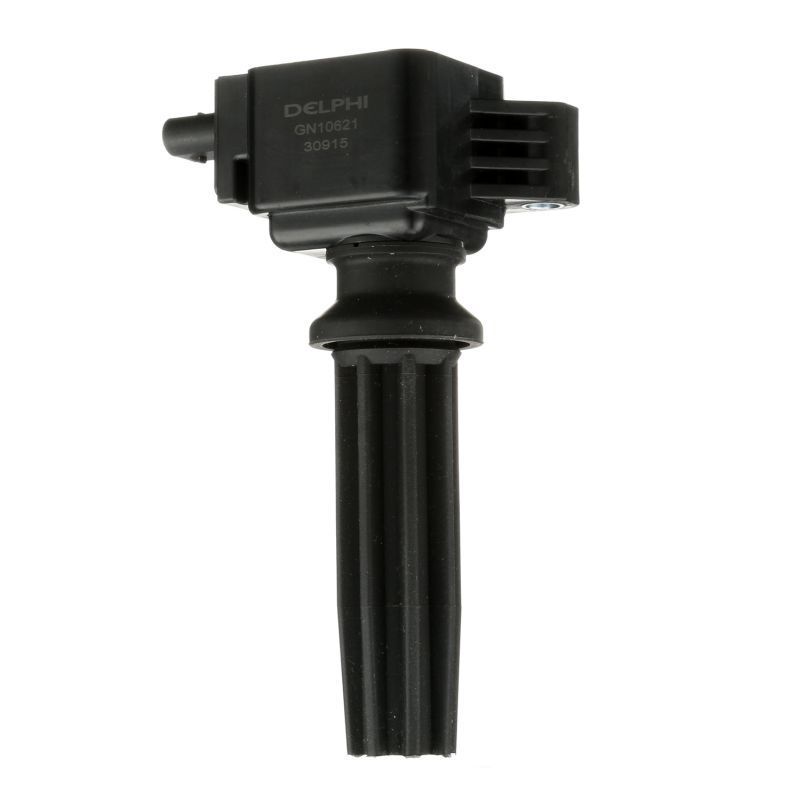 Ritė, uždegimas DELPHI GN10621-12B1
