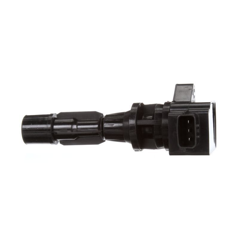 Ritė, uždegimas DELPHI GN10623-12B1