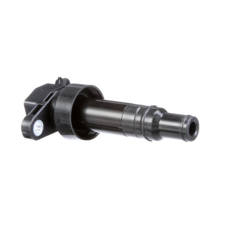 Ritė, uždegimas DELPHI GN10634-12B1