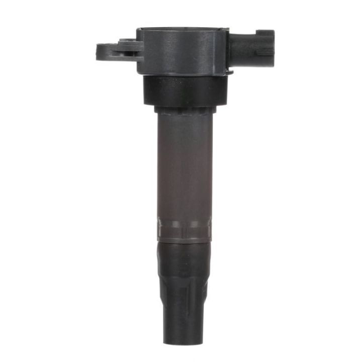 Ritė, uždegimas DELPHI GN10674-12B1