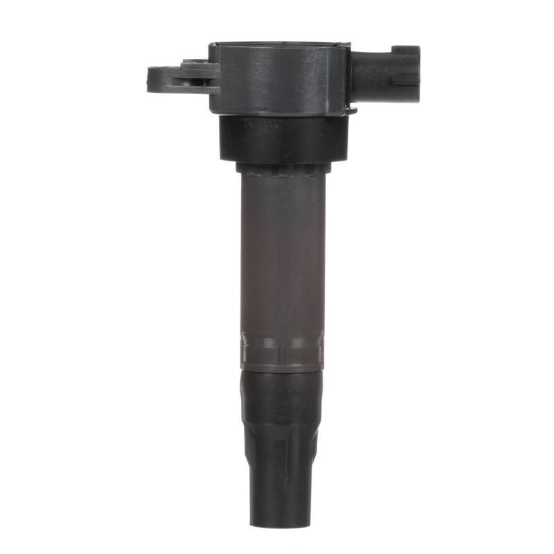 Ritė, uždegimas DELPHI GN10674-12B1