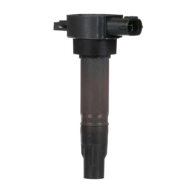 Ritė, uždegimas DELPHI GN10674-12B1