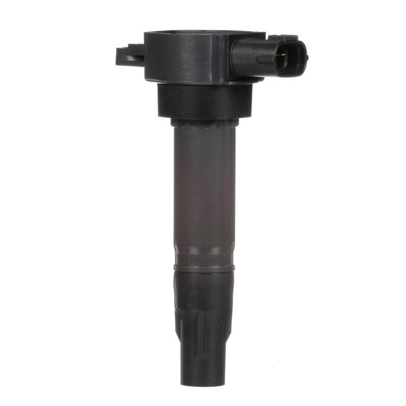 Ritė, uždegimas DELPHI GN10674-12B1