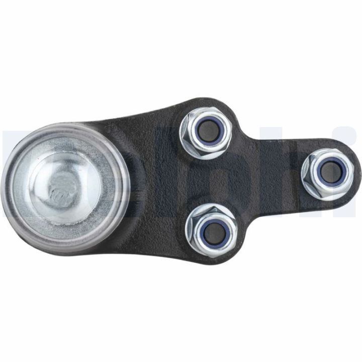 Šarnyras / girgždukas DELPHI TC1016