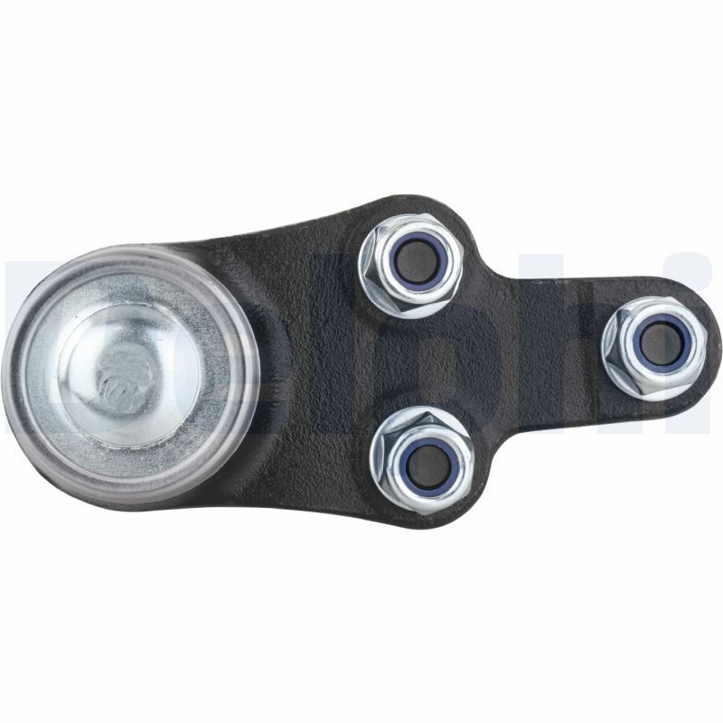 Šarnyras / girgždukas DELPHI TC1016