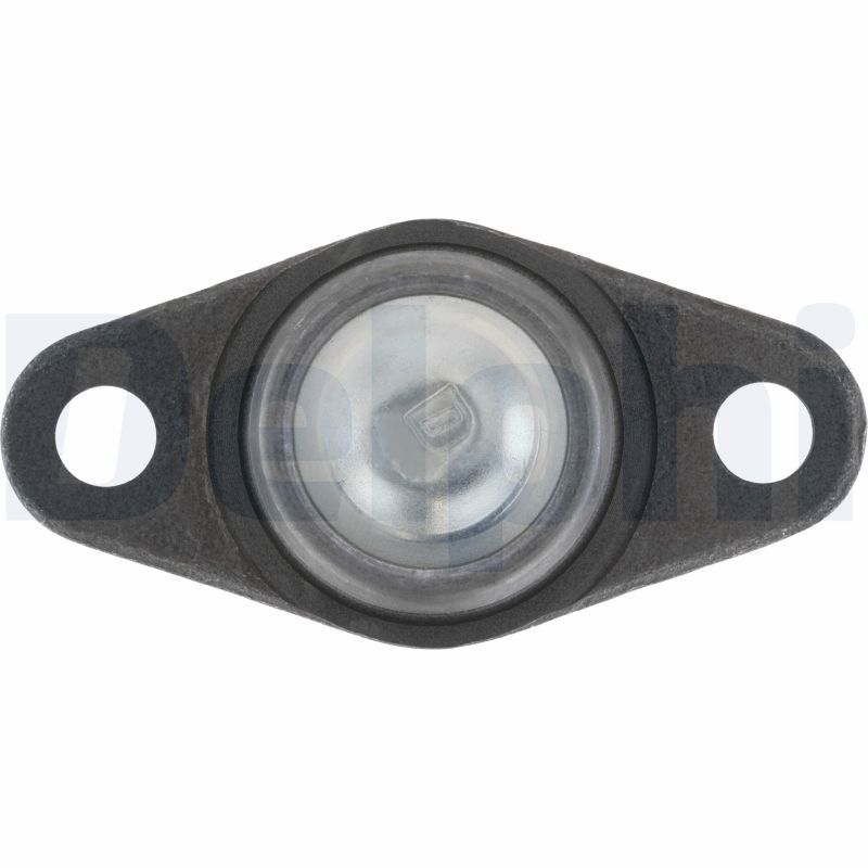 Šarnyras / girgždukas DELPHI TC1155