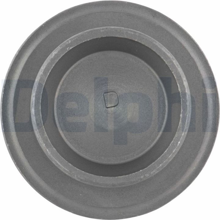 Šarnyras / girgždukas DELPHI TC1963