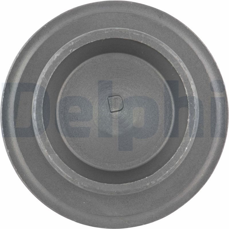 Šarnyras / girgždukas DELPHI TC1963