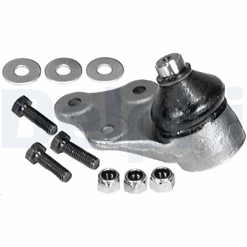 Šarnyras / girgždukas DELPHI TC302