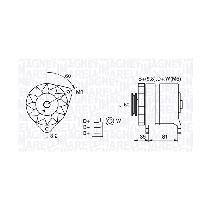 Kintamosios srovės generatorius MAGNETI MARELLI 063731227010