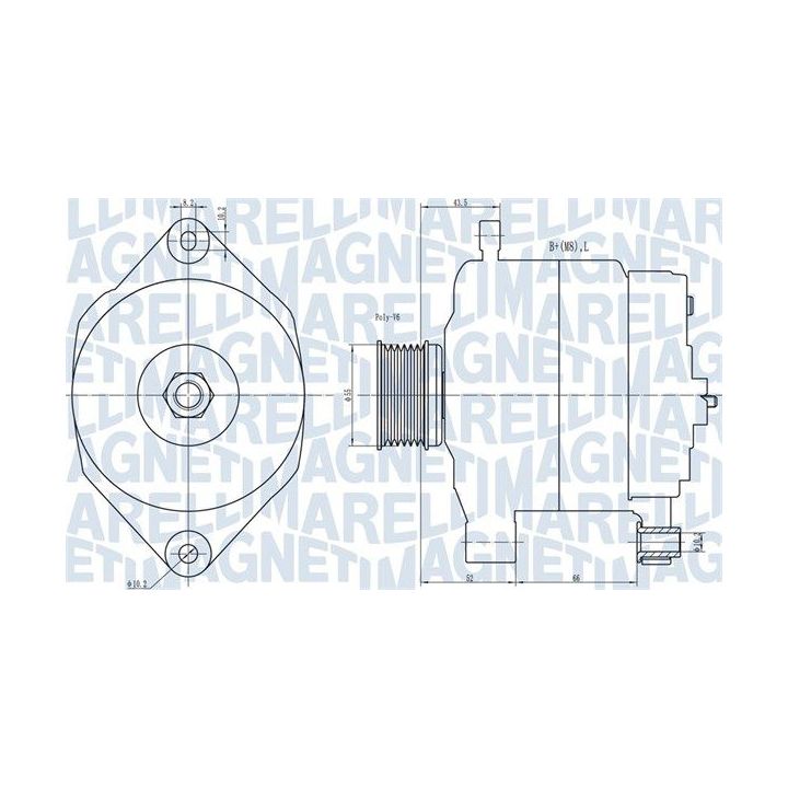 Kintamosios srovės generatorius MAGNETI MARELLI 063731343010