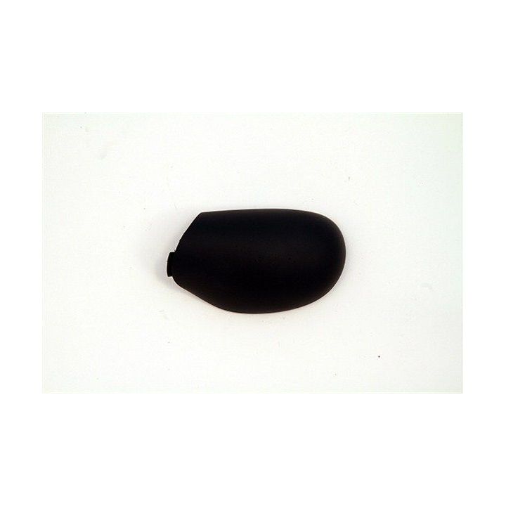 Dangtelis, išorinis veidrodėlis MAGNETI MARELLI 351991202060