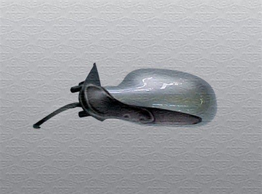 Išorinis veidrodėlis MAGNETI MARELLI 350314025590