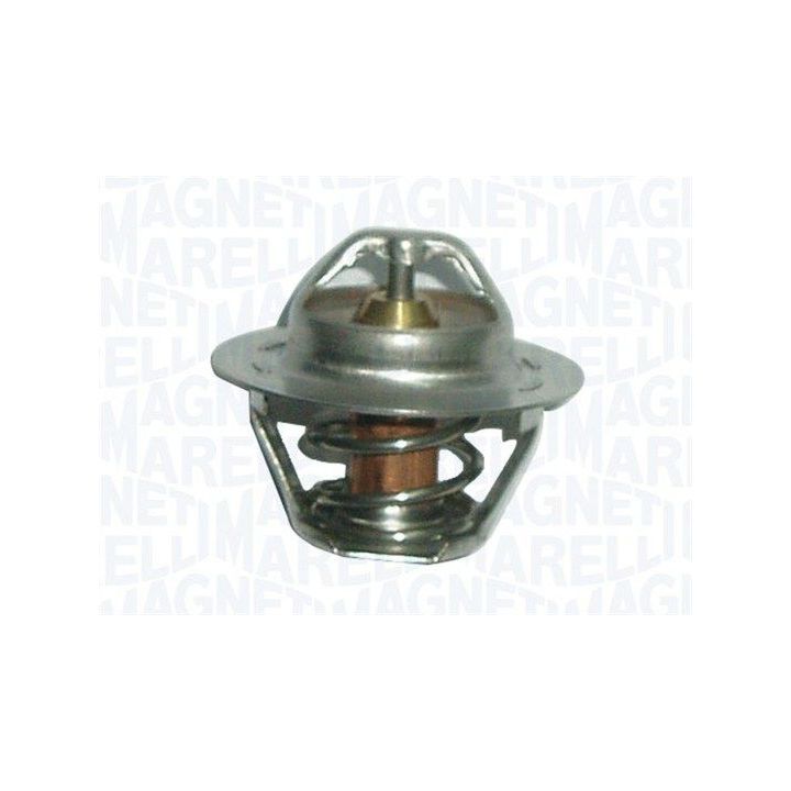 Termostatas, aušinimo skystis MAGNETI MARELLI 352317002660