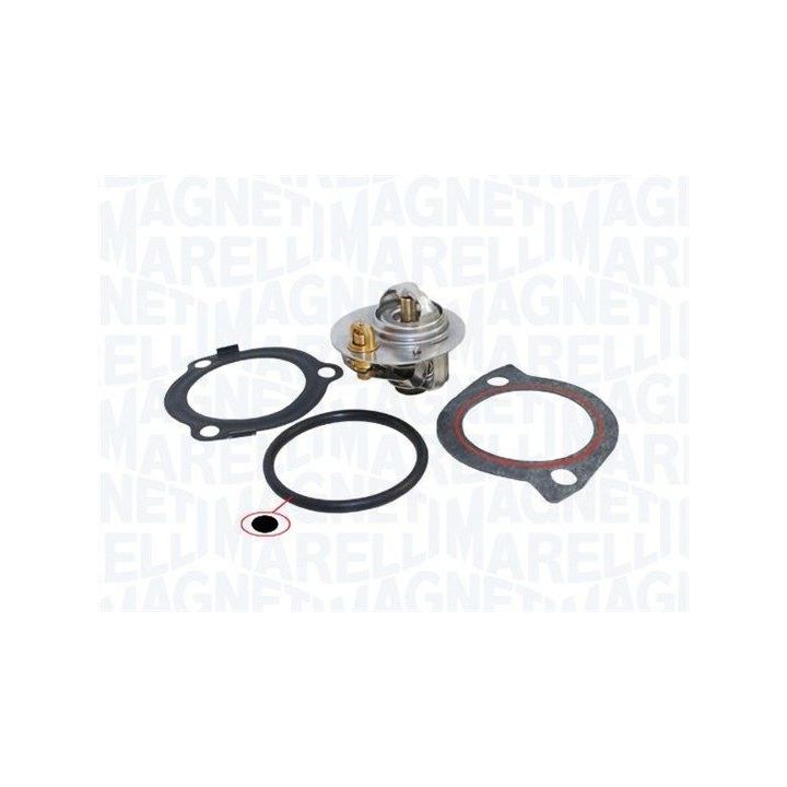 Termostatas, aušinimo skystis MAGNETI MARELLI 352317002950