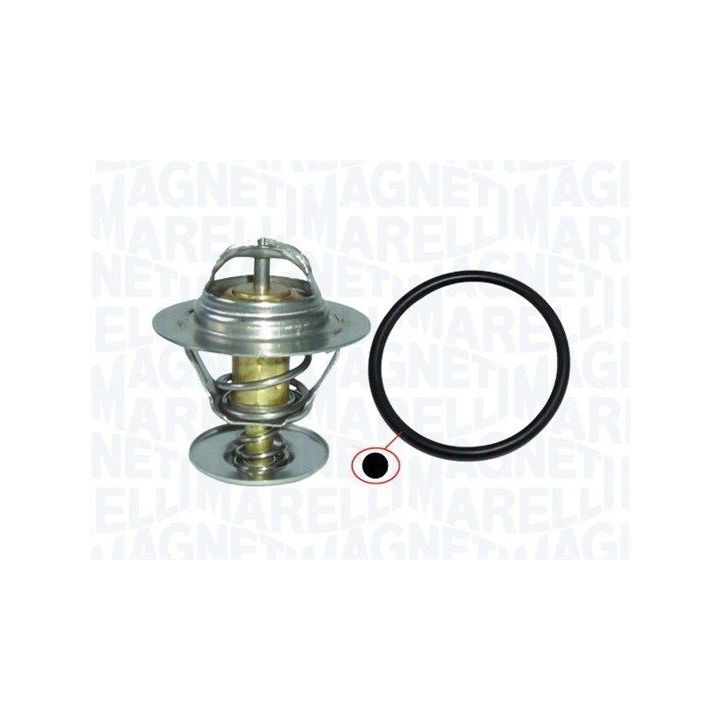 Termostatas, aušinimo skystis MAGNETI MARELLI 352317100330
