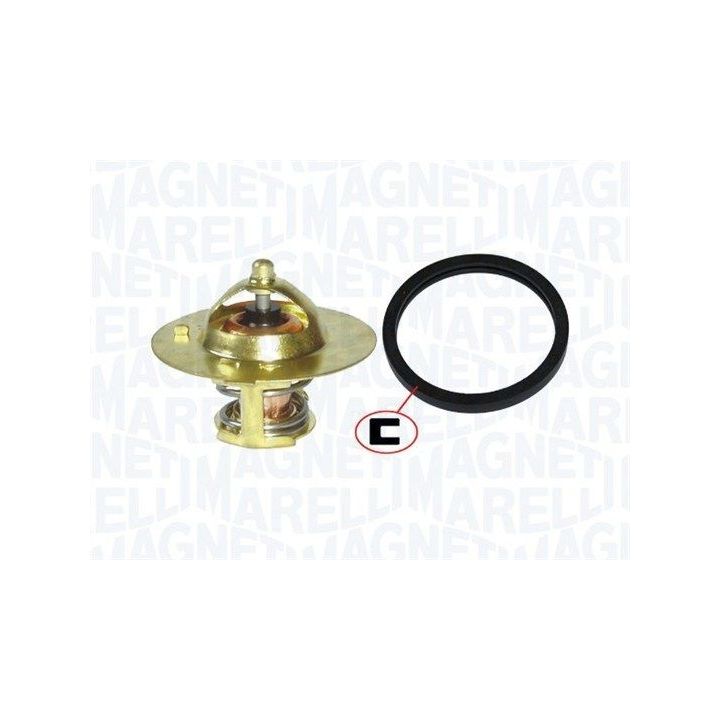Termostatas, aušinimo skystis MAGNETI MARELLI 352317100400