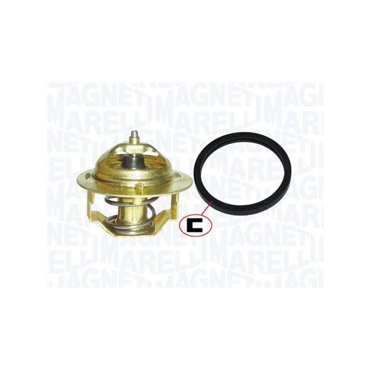 Termostatas, aušinimo skystis MAGNETI MARELLI 352317100590