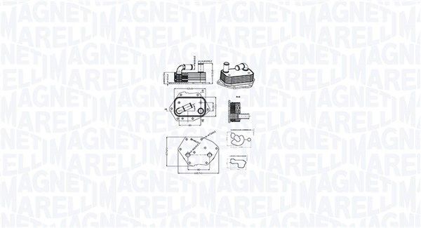 Alyvos aušintuvas, variklio alyva MAGNETI MARELLI 350300002600