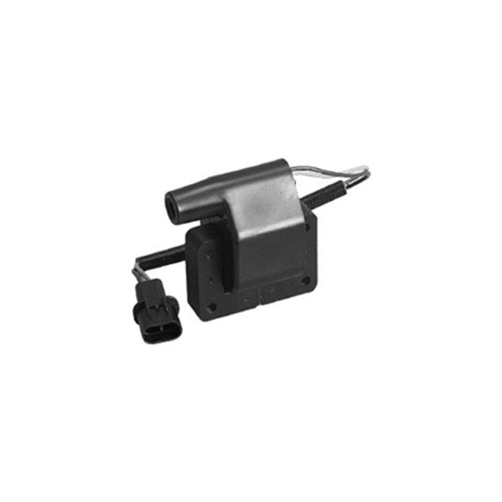 Ritė, uždegimas MAGNETI MARELLI 060717057012