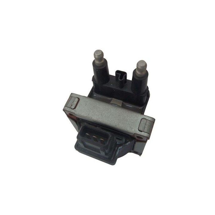 Ritė, uždegimas MAGNETI MARELLI 060717070012