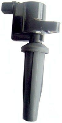 Ritė, uždegimas MAGNETI MARELLI 060717105012