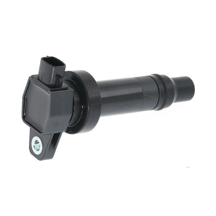 Ritė, uždegimas MAGNETI MARELLI 060717111012