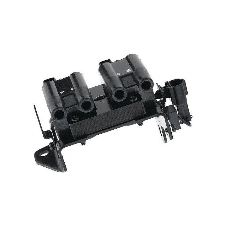 Ritė, uždegimas MAGNETI MARELLI 060717134012