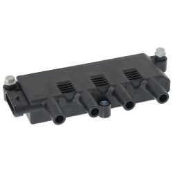 Ritė, uždegimas MAGNETI MARELLI 060717135012