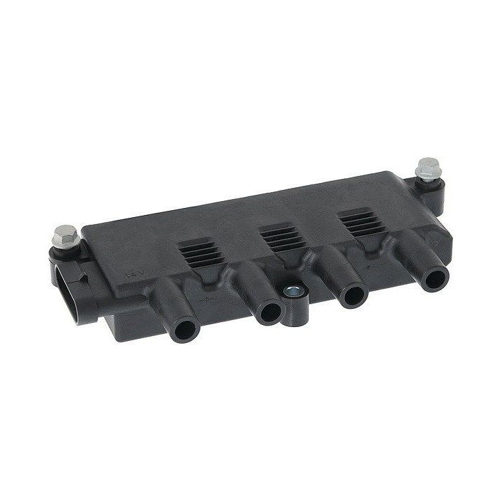 Ritė, uždegimas MAGNETI MARELLI 060717135012